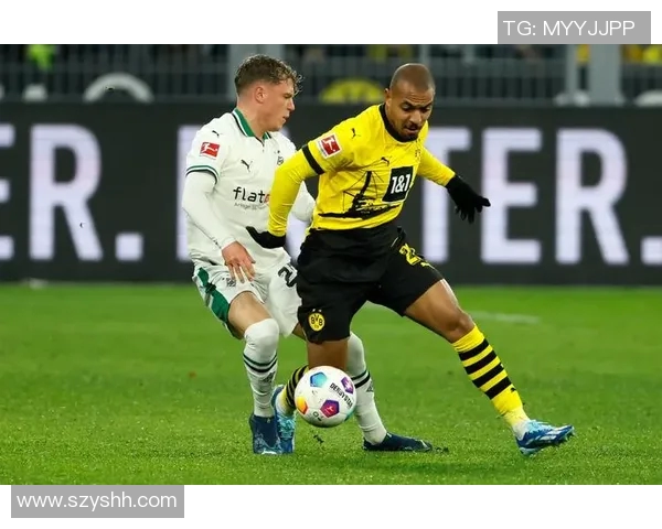 多特蒙德历代知名足球球星名单与辉煌时刻盘点