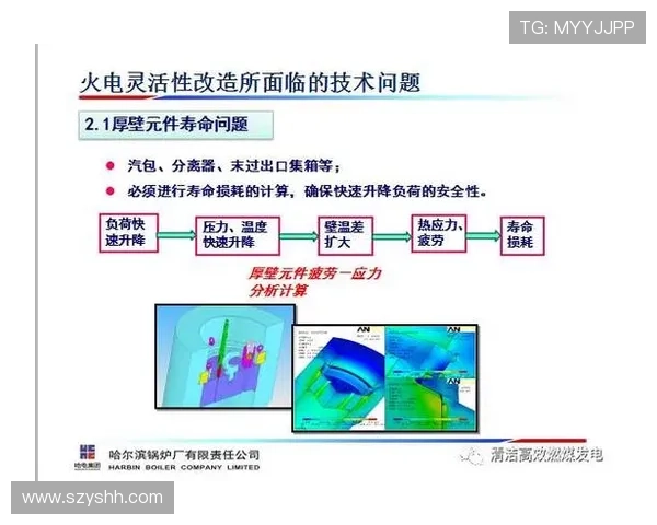 上海羽毛球队灵活性引发热议球员表现与战术选择的深度探讨
